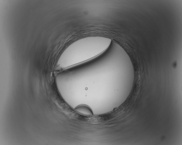 X0000115760615200911131001