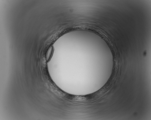 X0000115760617200911131001