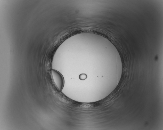 X0000115760619200911131001