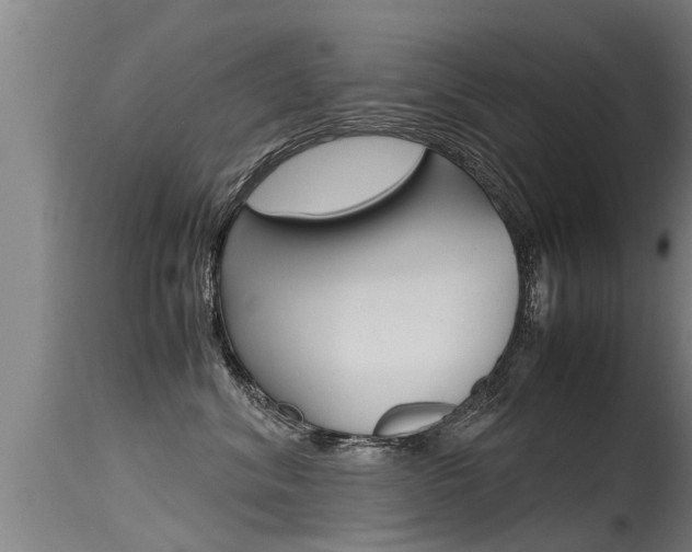 X0000115760620200911131001