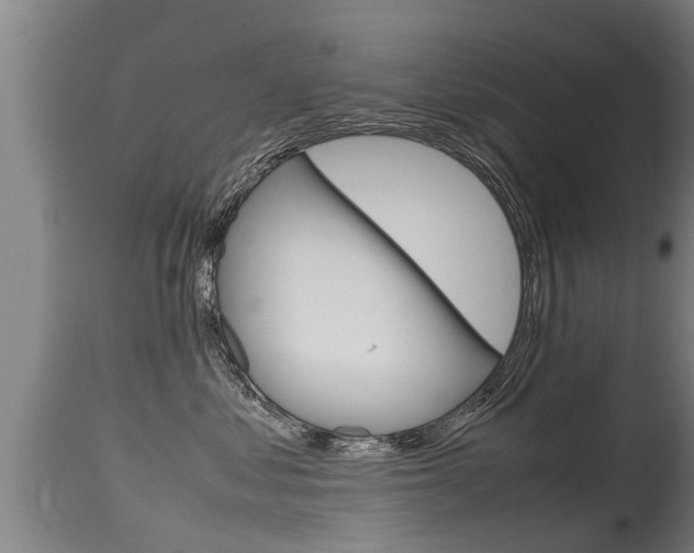 X0000115760621200911131001