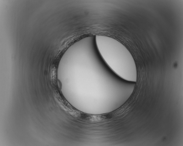 X0000115760623200911131001