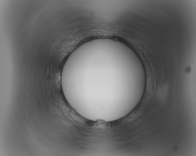 X0000115760624200911131001