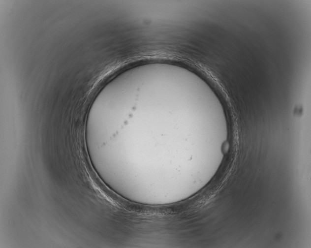 X0000115760625200911131000