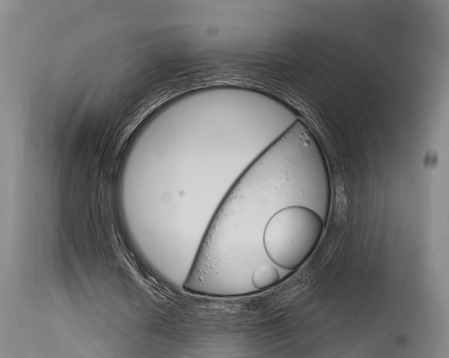 X0000115760626200911131000