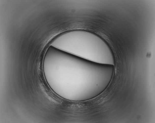 X0000115760627200911131000