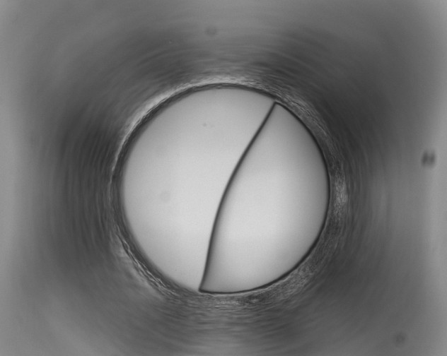 X0000115760628200911131000