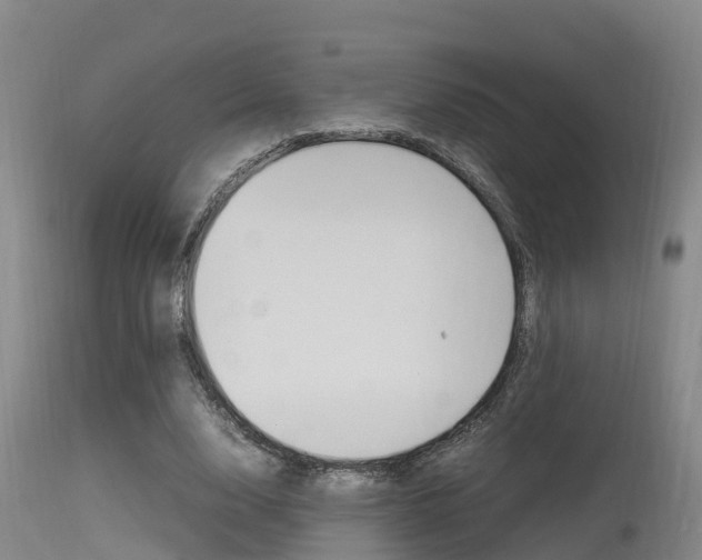 X0000115760632200911131000