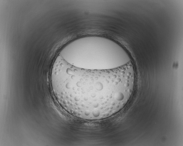 X0000115760633200911131000