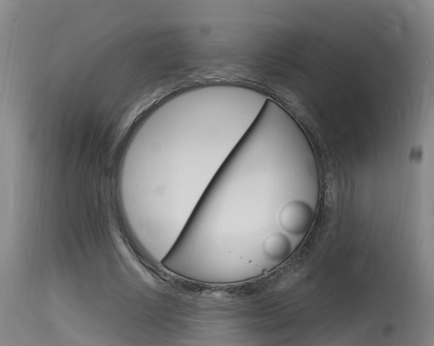 X0000115760634200911131000