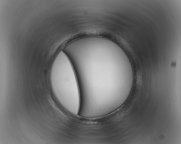 X0000115760637200911131000