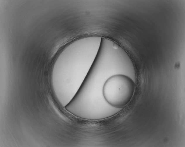 X0000115760638200911131000