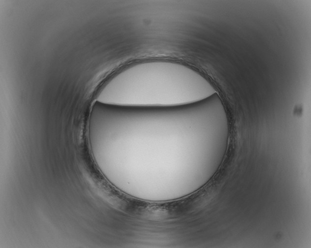 X0000115760640200911131000