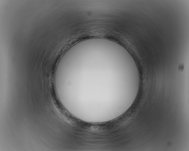 X0000115760641200911131000