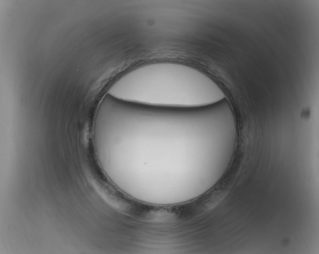 X0000115760644200911131000