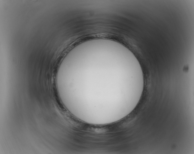 X0000115760645200911131000