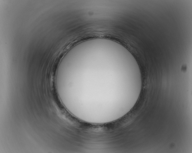 X0000115760646200911131000