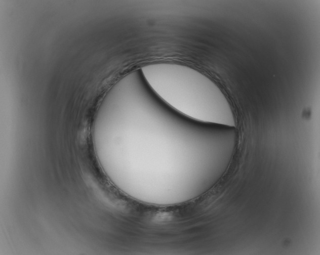 X0000115760647200911131000