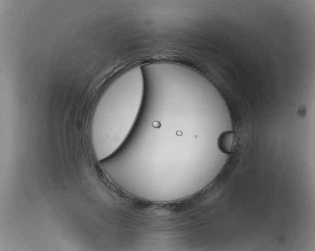 X0000115760648200911131001