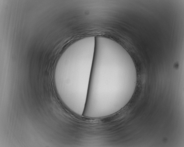 X0000115760652200911131001