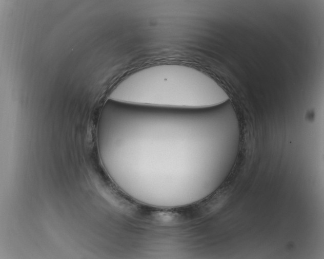 X0000115760654200911131001