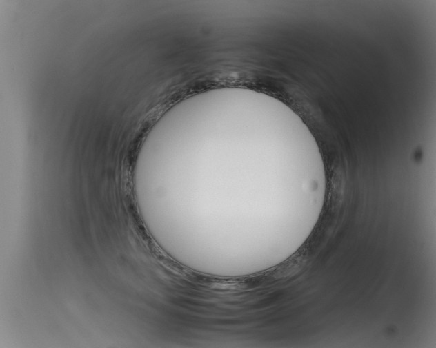 X0000115760659200911131001