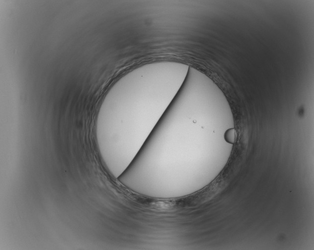 X0000115760660200911131001
