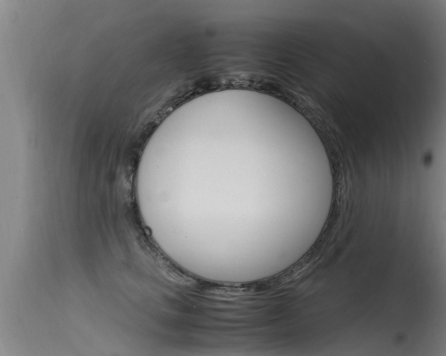 X0000115760661200911131001