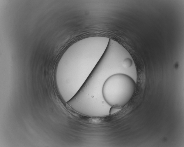X0000115760662200911131001