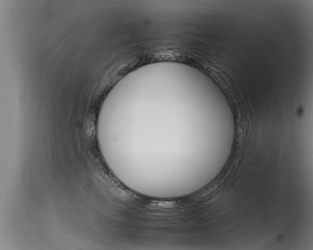 X0000115760665200911131001