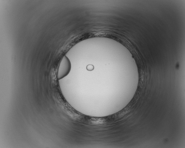 X0000115760667200911131001