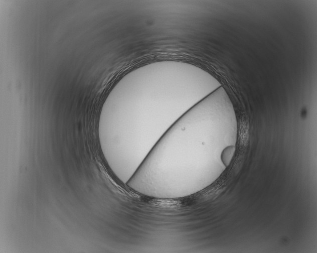 X0000115760670200911131001