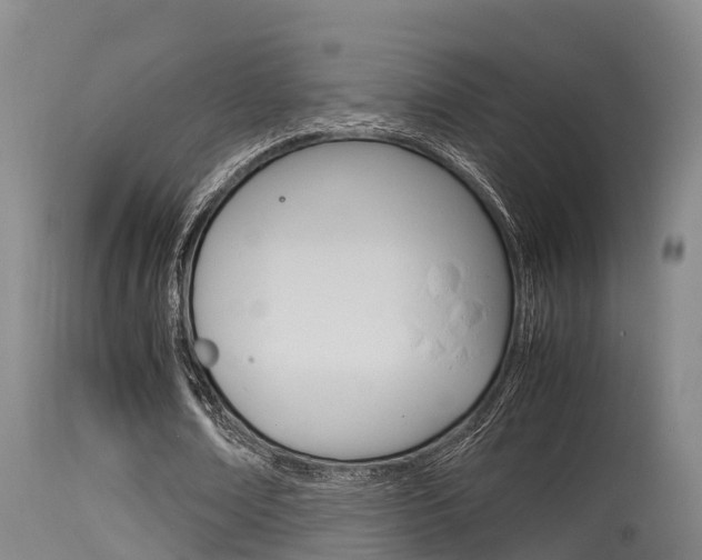 X0000115760674200911131000