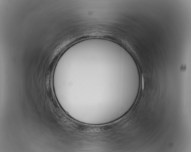 X0000115760675200911131000