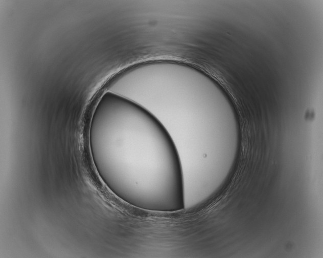 X0000115760676200911131000