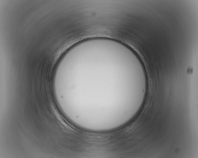 X0000115760677200911131000