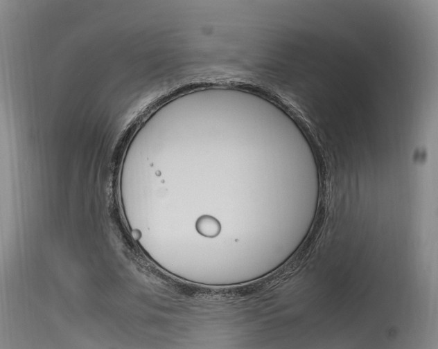 X0000115760679200911131000