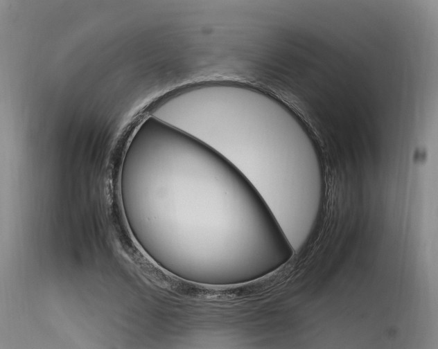X0000115760680200911131000