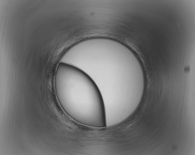 X0000115760681200911131000