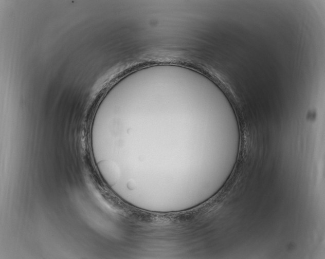X0000115760682200911131000