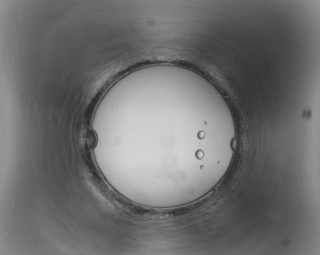 X0000115760683200911131000