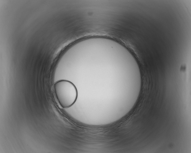 X0000115760684200911131000