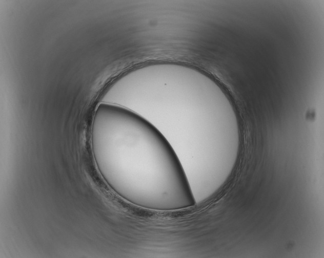 X0000115760685200911131000
