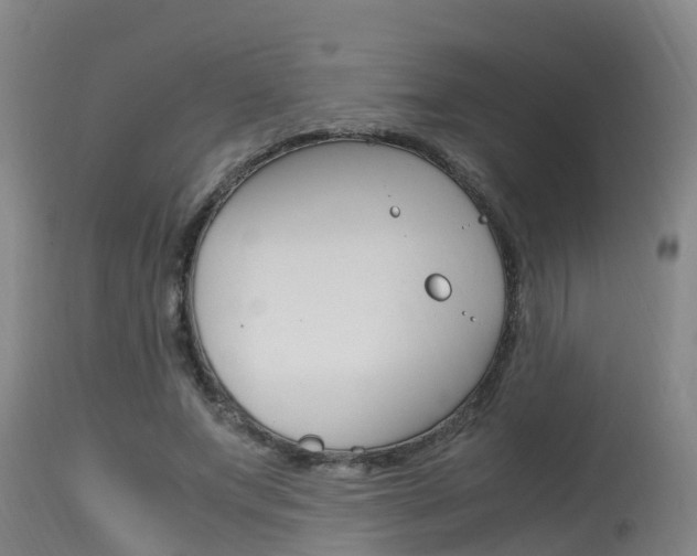 X0000115760687200911131000