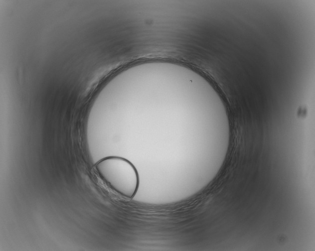X0000115760688200911131000