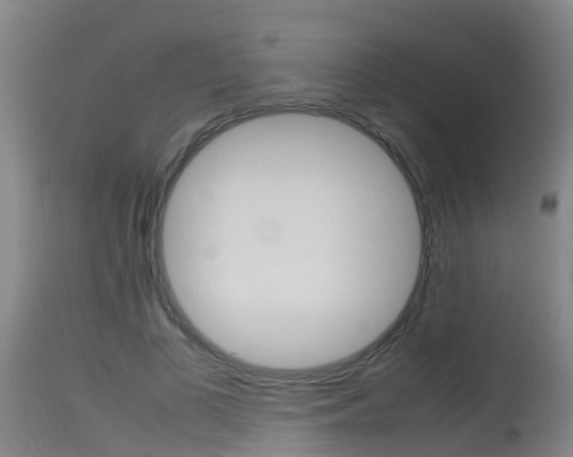 X0000115760693200911131000