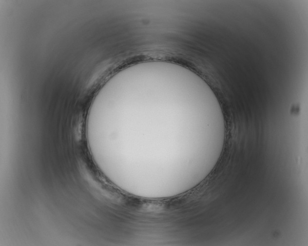 X0000115760694200911131000