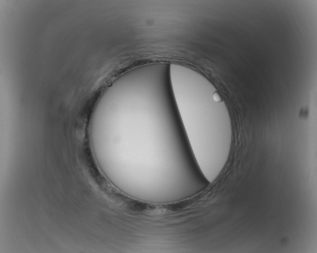 X0000115760695200911131000
