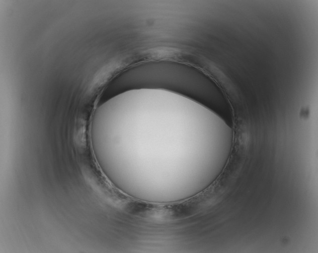 X0000115760696200911131000