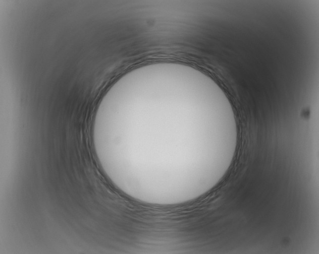 X0000115760697200911131000